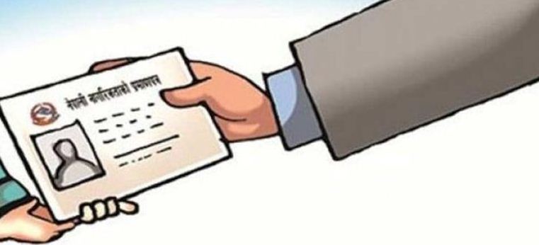 citizenship citizenship
