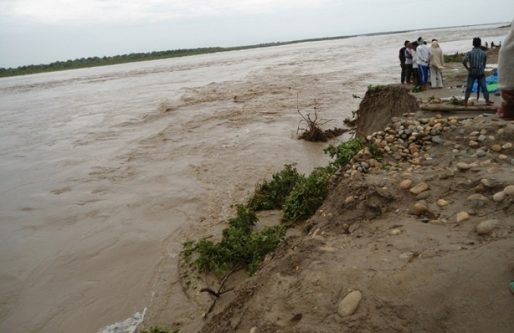 Narayani