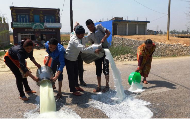दूध बिक्री नभएपछि सडकमा पोख्दै