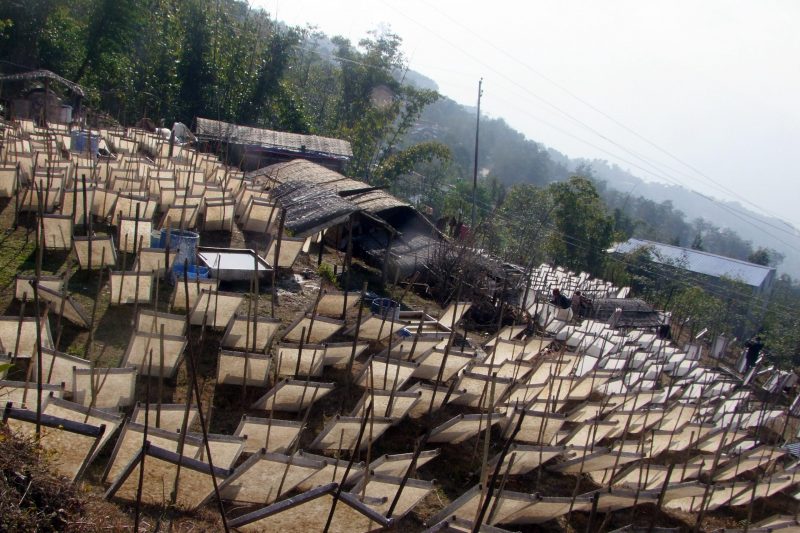 Nepali Paper