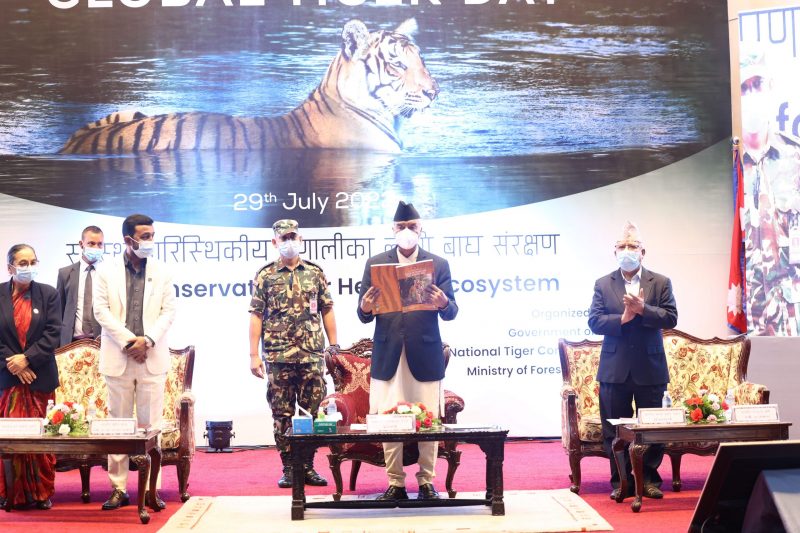 Tiger Day