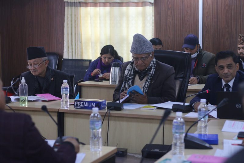 नियमावली मस्यौदा समिति