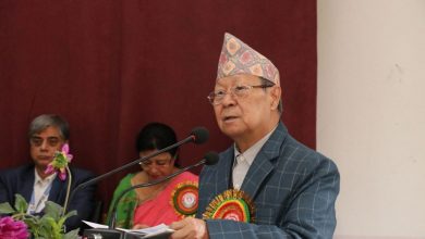 नारायणमान बिजुक्छेँ