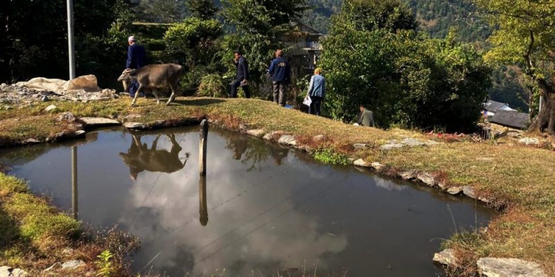 भेटिँदैनन् अचेल कुवा र पोखरी