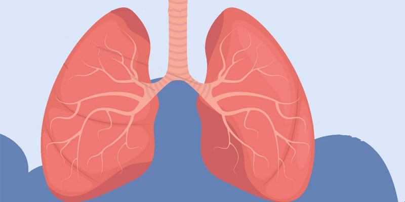 बालकको फोक्सो र कलेजोमा जुकाले अण्डा बनाएपछि...