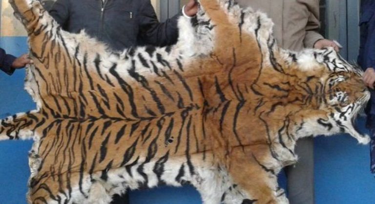 बाघको छाला