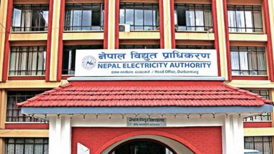 नेपाल विद्युत् प्राधिकरण