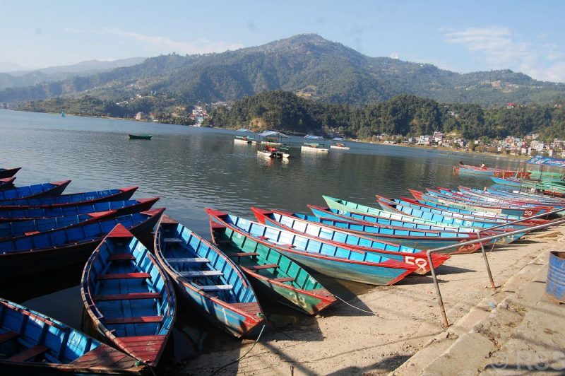 फेवाताल