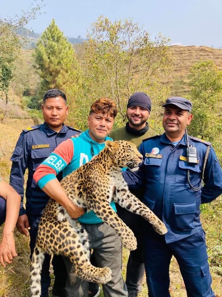 यस्तो छ चितुवा बोकेको भाइरल तस्बिरको वास्तविकता