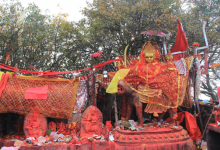 पाथीभरा