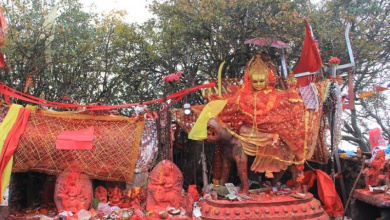 पाथीभरा