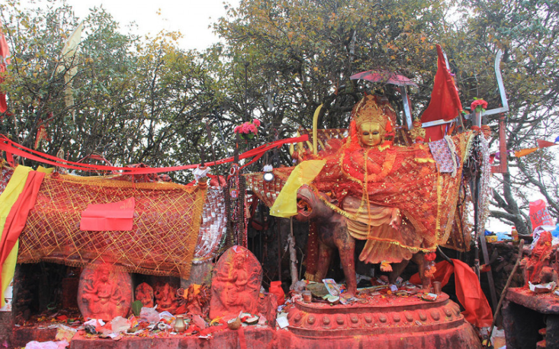 पाथीभरा