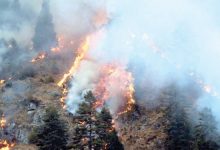 वन डढेलो