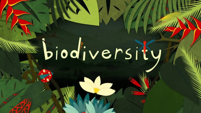 आज जैविक विविधता दिवस