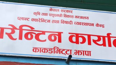 प्लान्ट क्वारेन्टाइन कार्यालय काँकरभिट्टा