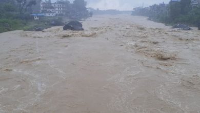 कोशी र तिनाउ नदीमा पानीको बहाव खतरा तहमा