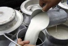 दुग्धजन्य परिकार