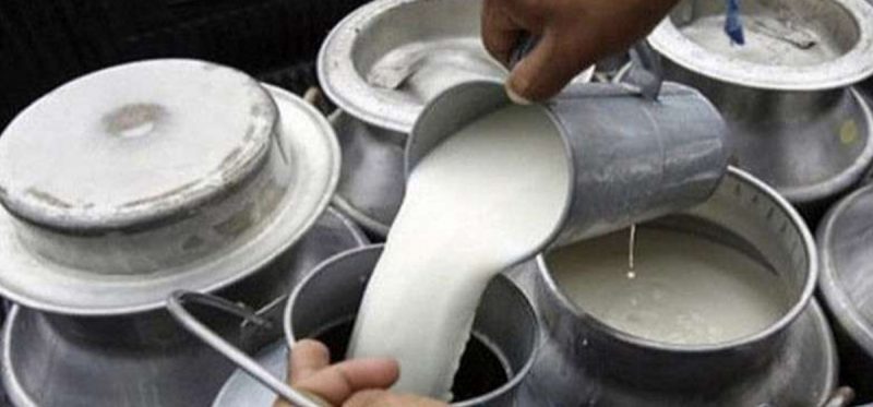 दुग्धजन्य परिकार