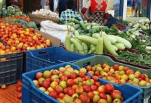 तरकारी निकासी