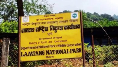 लाङटाङ राष्ट्रिय निकुञ्ज
