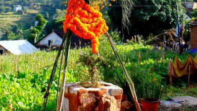 हरि बोधिनी एकादशी