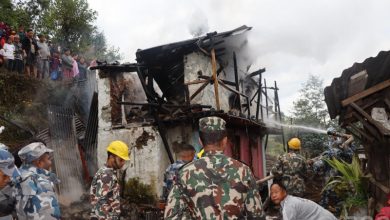 फुङ्लिङमा आगलागी