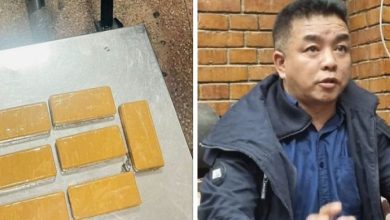 १४ किलोग्राम सुन