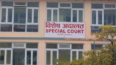 विशेष अदालतमा आरोपपत्र दायर
