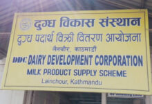दुग्ध विकास संस्थान