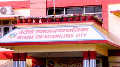 हेटौँडा उपमहानगर