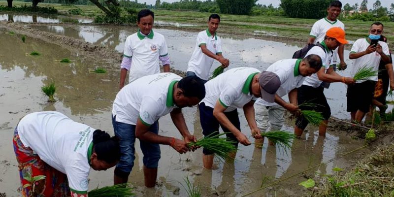 मुख्यमन्त्री कार्की