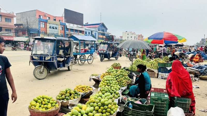 सडकमै आँप किनबेच सडकमै आँप किनबेच