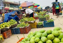 लहानको आँप ‘ब्राण्डिङ’