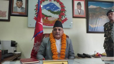 मुख्यमन्त्री पाण्डे