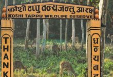 कोशी टप्पु वन्यजन्तु आरक्षबाट ४० लाख राजस्व सङ्कलन