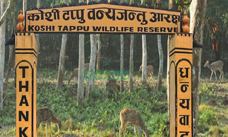 पर्यटकको रोजाइमा कोशी टप्पु वन्यजन्तु आरक्ष