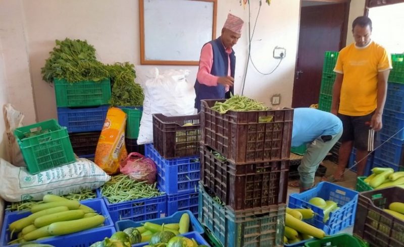 सागसब्जी बिक्री