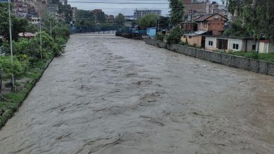 विष्णुमति नदी
