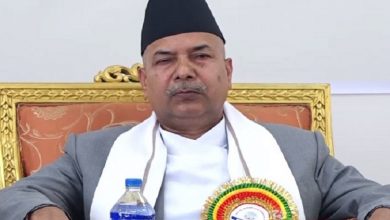 नागरिकलाई घरआँगनमै सरकार रहेको आभास भएको छ : उपराष्ट्रपति